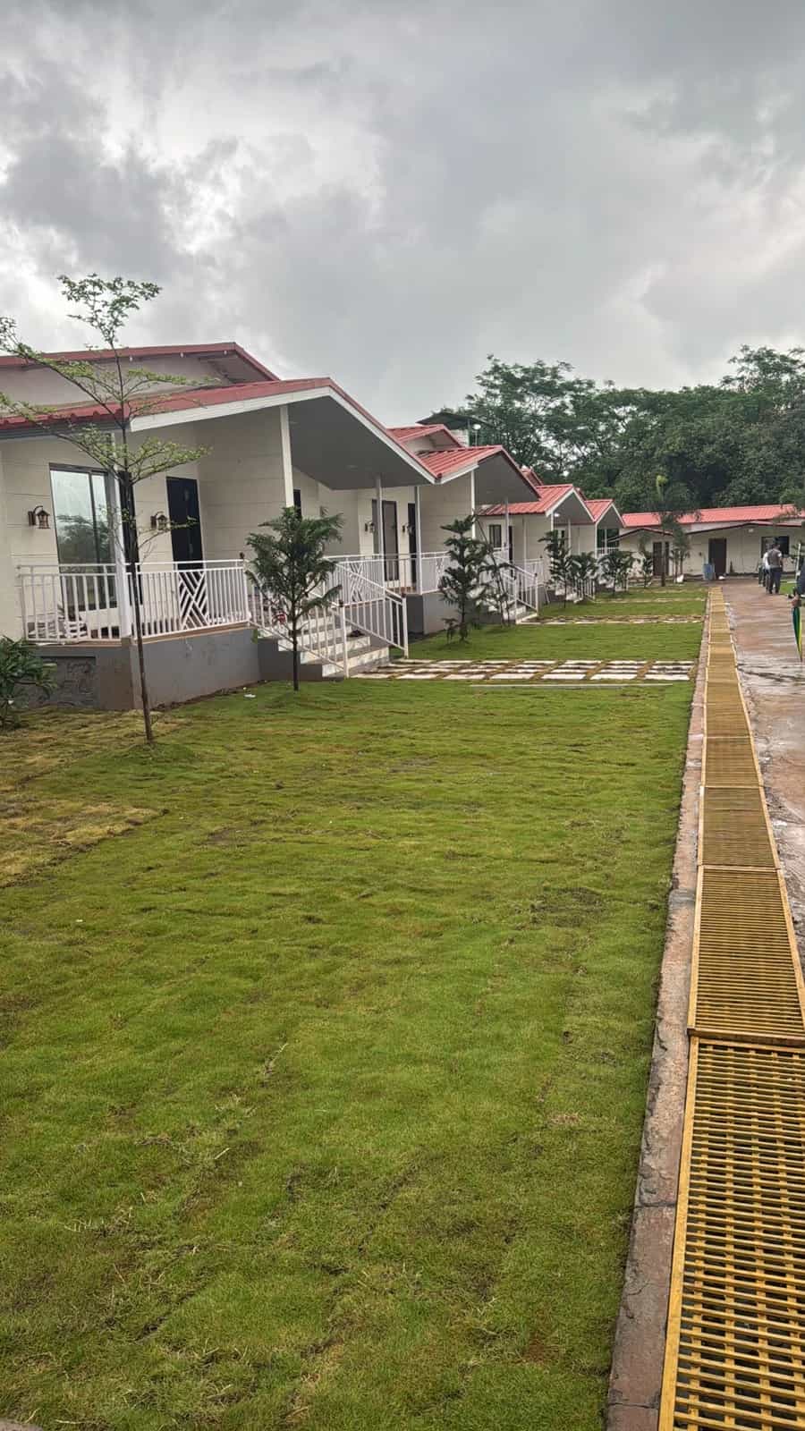 Garden 4